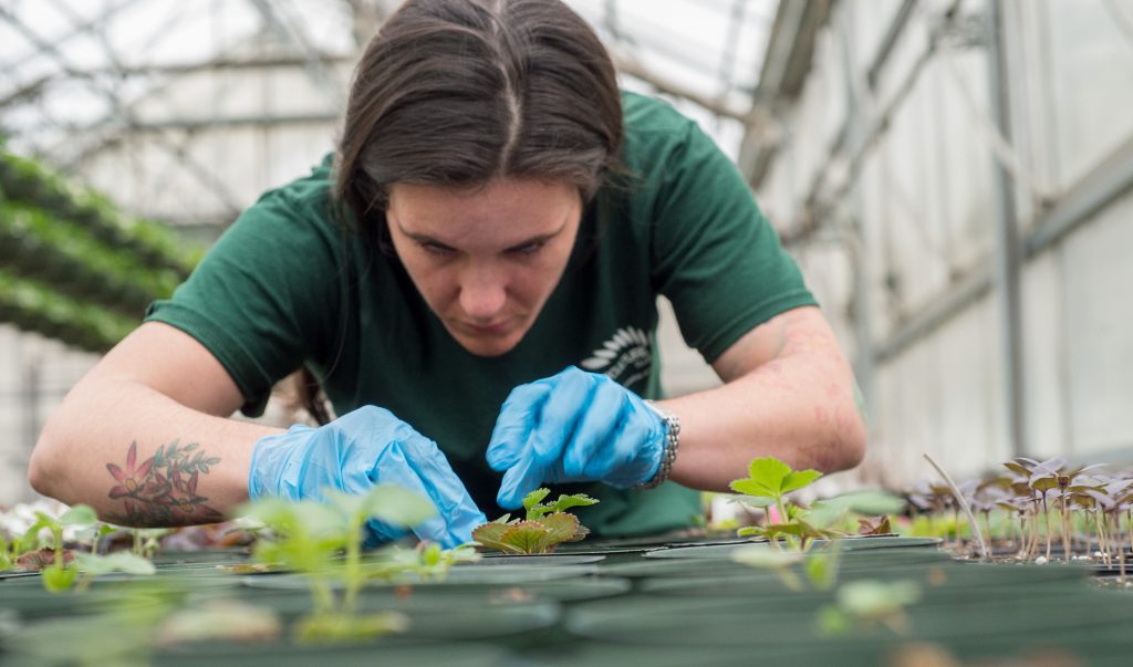 horticulturist