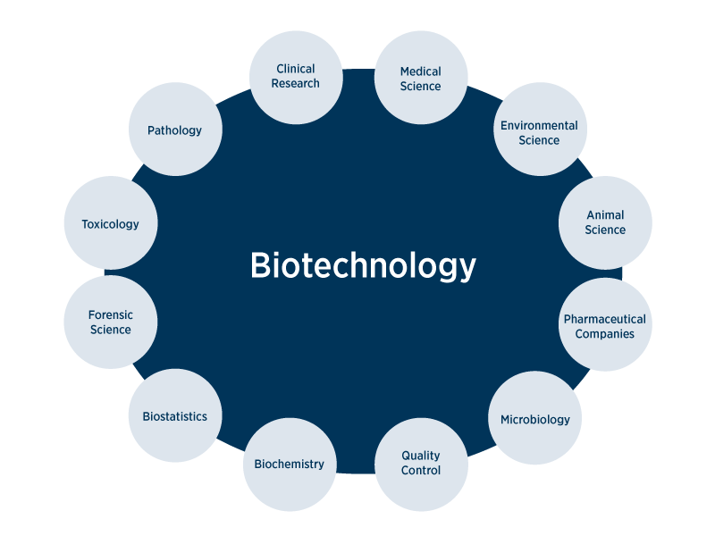 15 Biotechnology Career Options - CareerGuide Career Counselling