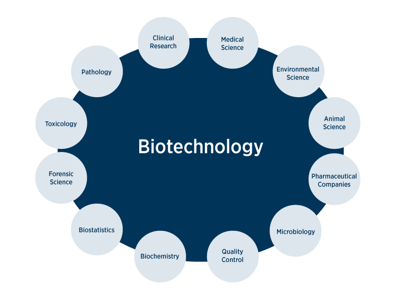 15 Biotechnology Career Options - CareerGuide Career Counselling 15 Biotechnology Career Options - CareerGuide Career Counselling