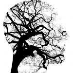 Mental Health 2313430 1920