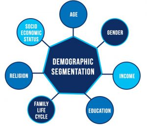 Demographic Segmentation Examples