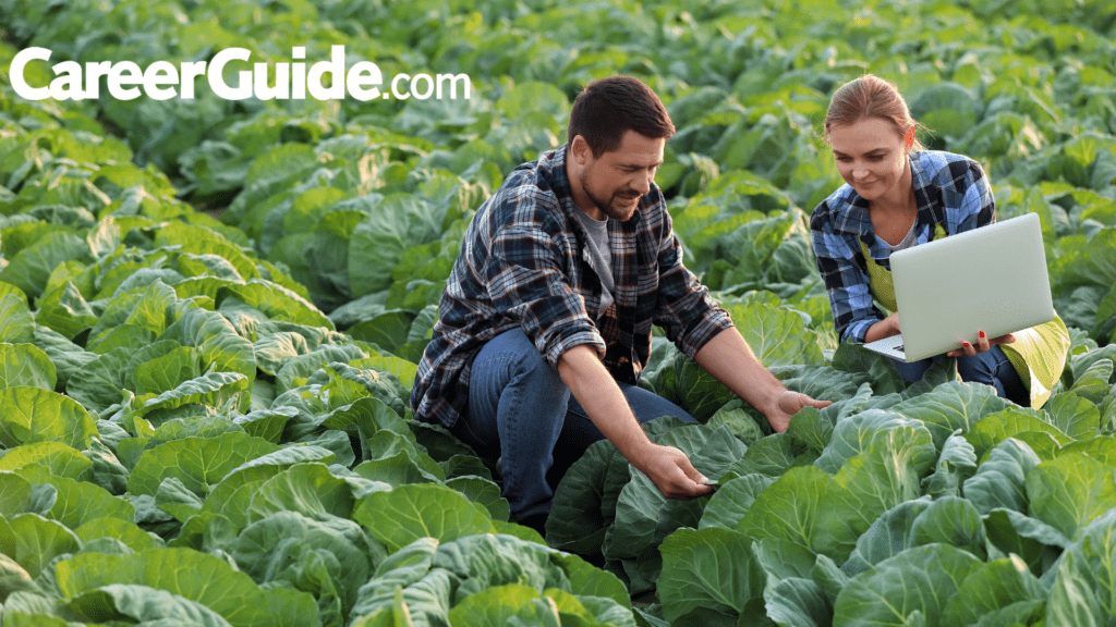 Agricultural Field Officer