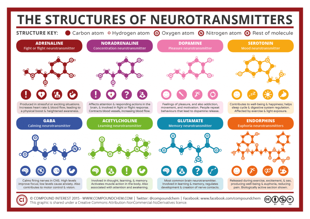 neurotransmitters square 