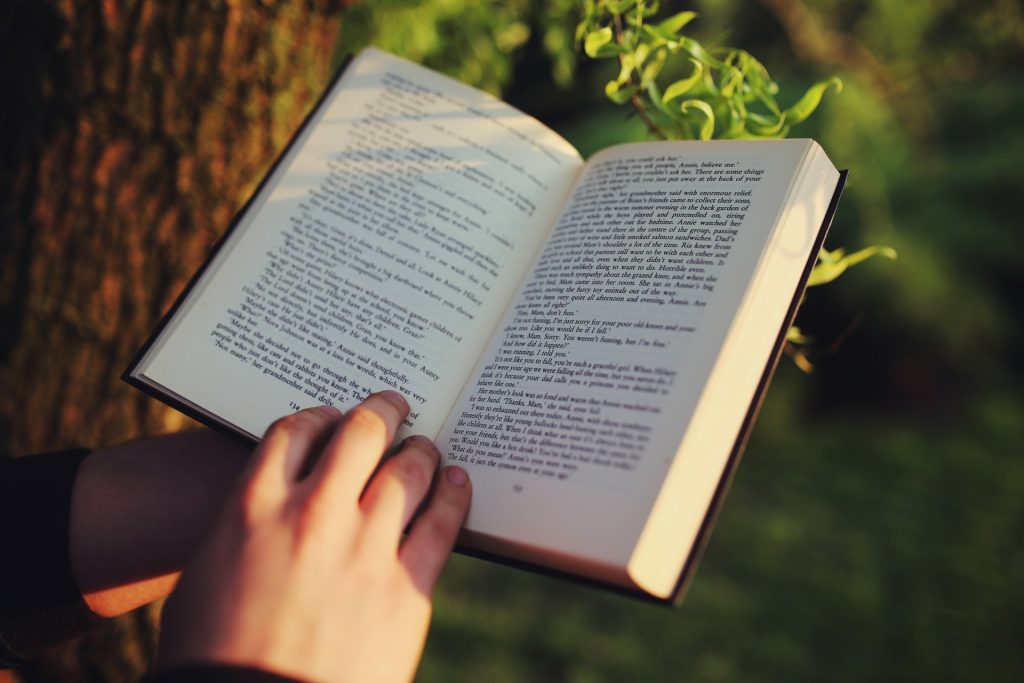 novels, popular novels