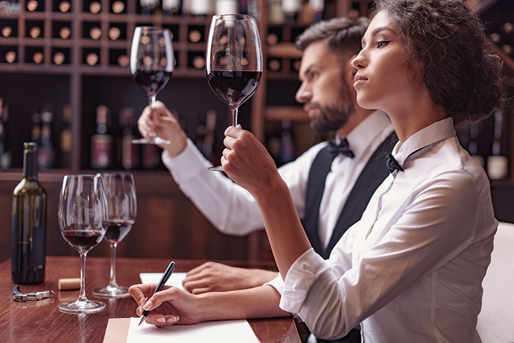 wine taster, become a sommelier, professional wine taster, Who is a wine taster, vineyard