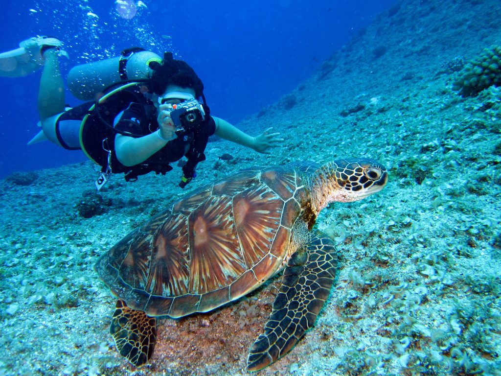 Marine Biologist