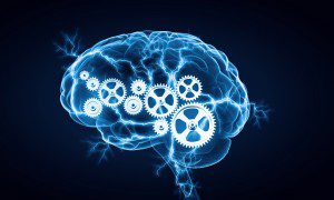 Cognitive Brain 300x180