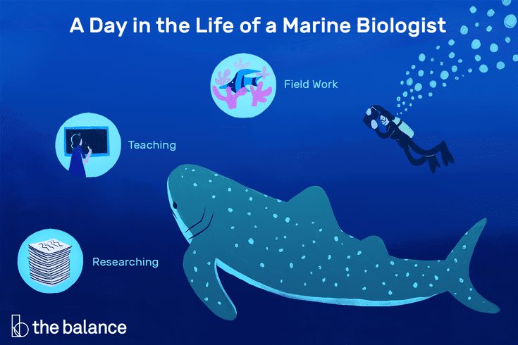 Marine Biologist