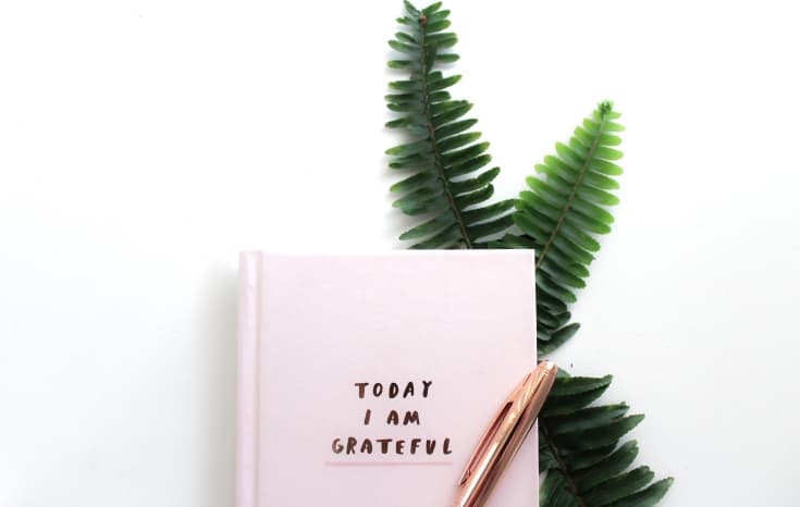 gratitude journal, gratitude