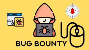 bug bounty hunter