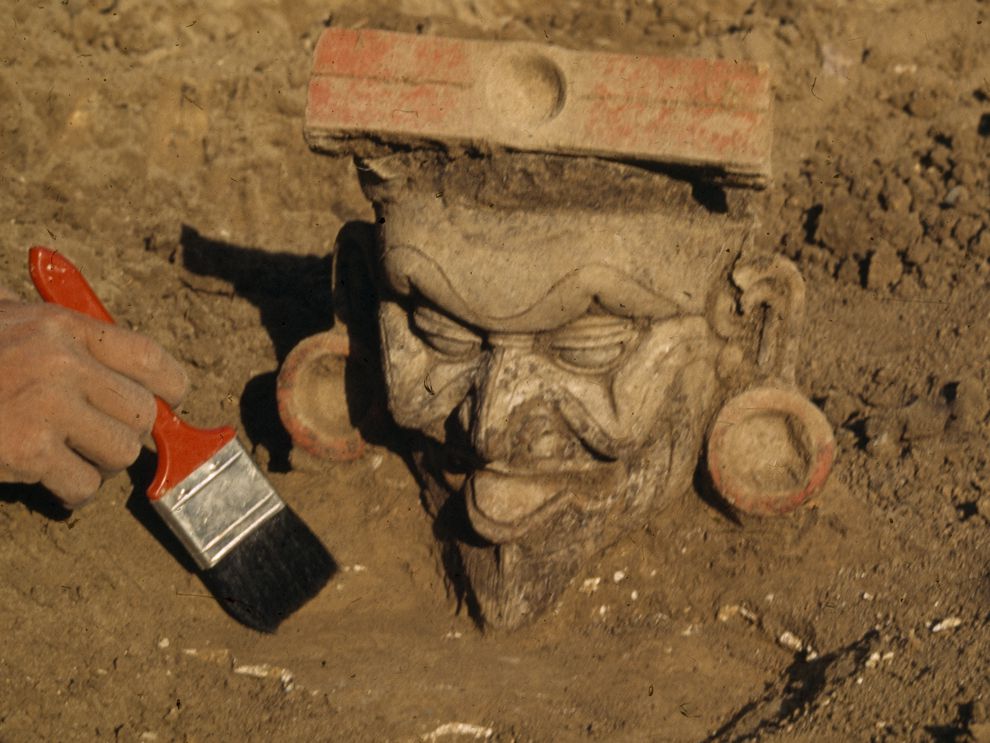 Archaeology Archaeologist