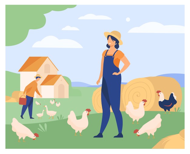 Farmers Working Chicken Farm Isolated Flat Vector Illustration Cartoon Woman Man Breeding Poultry Agriculture Domestic Birds 74855 8360