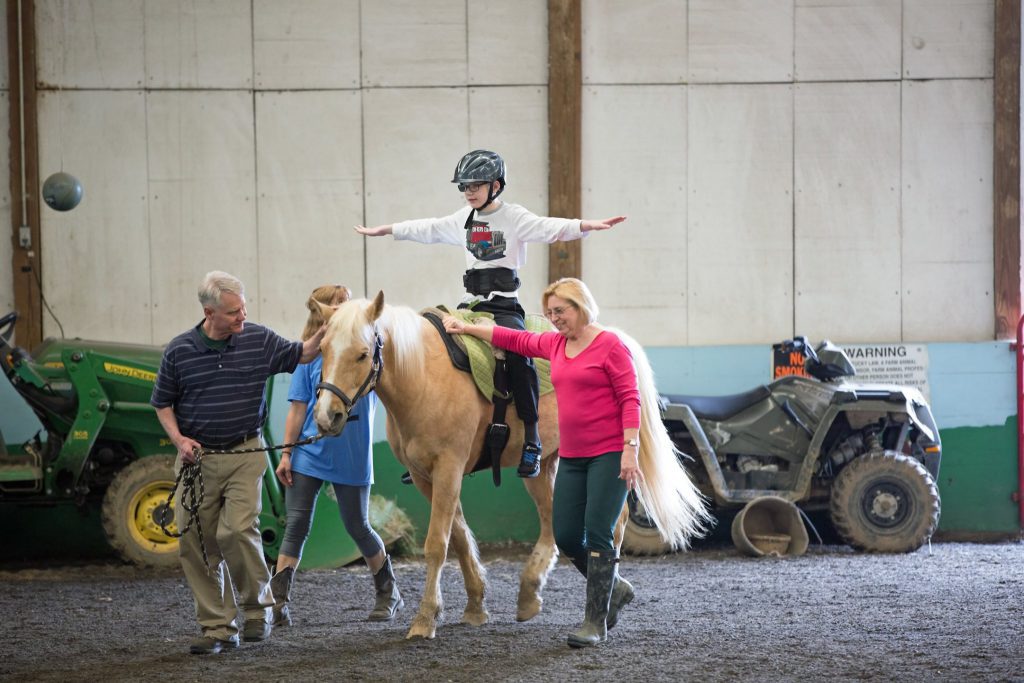 Hippotherapy Fancy Career Option