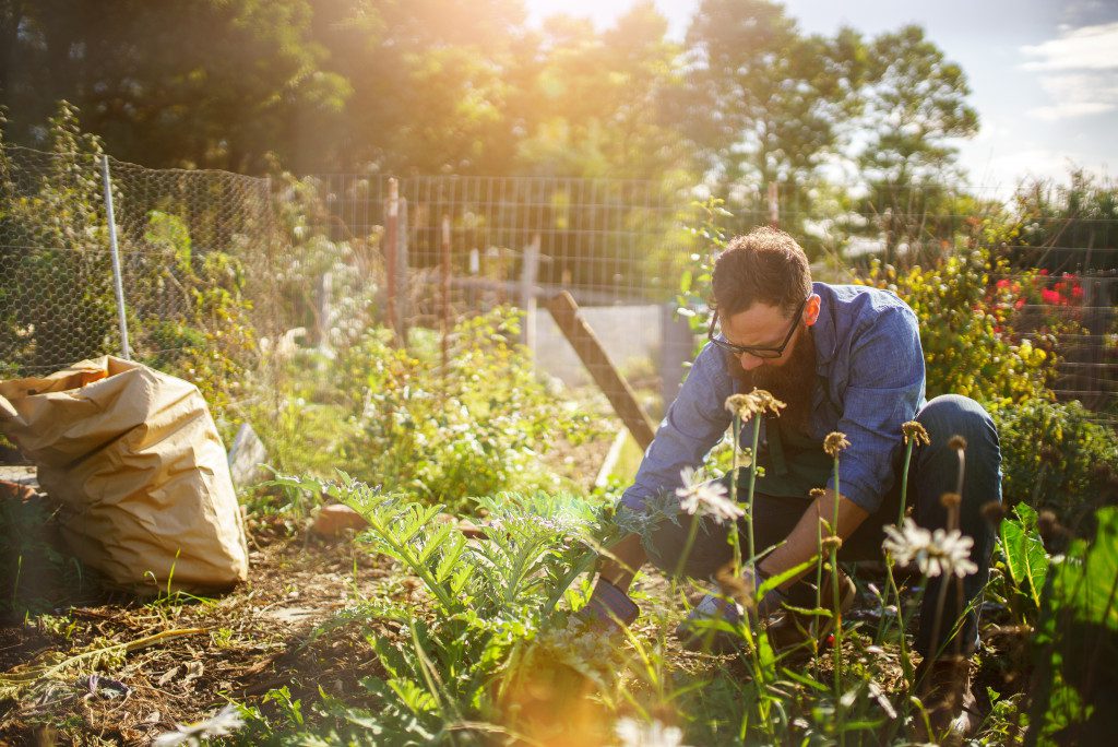 Olericulturist Horticulturist