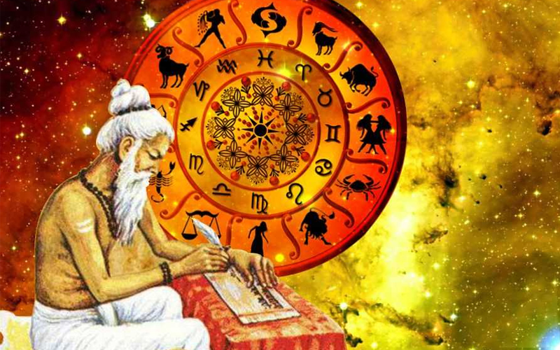 Vadik Astrologer