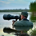Wildlife Photography Feature Image Photographer