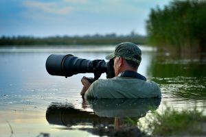Wildlife Photography Feature Image Photographer