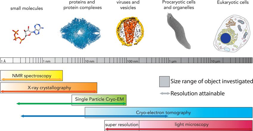 An Overview Of Structural Biology Techniques And The Biological Objects They Investigate
