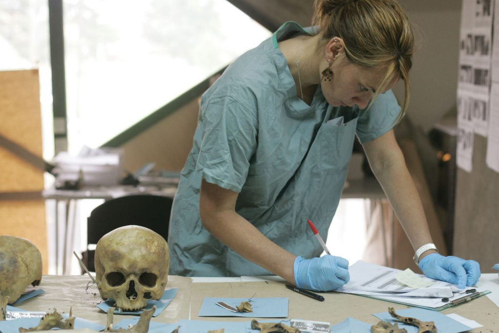 Forensic Anthropologist, anthropology