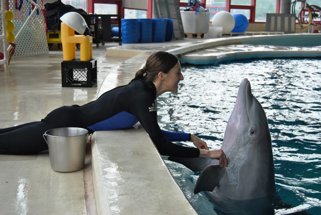 marine mammal trainer