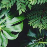Jackie Dilorenzo Rylsrzy9jia Unsplash Scaled
