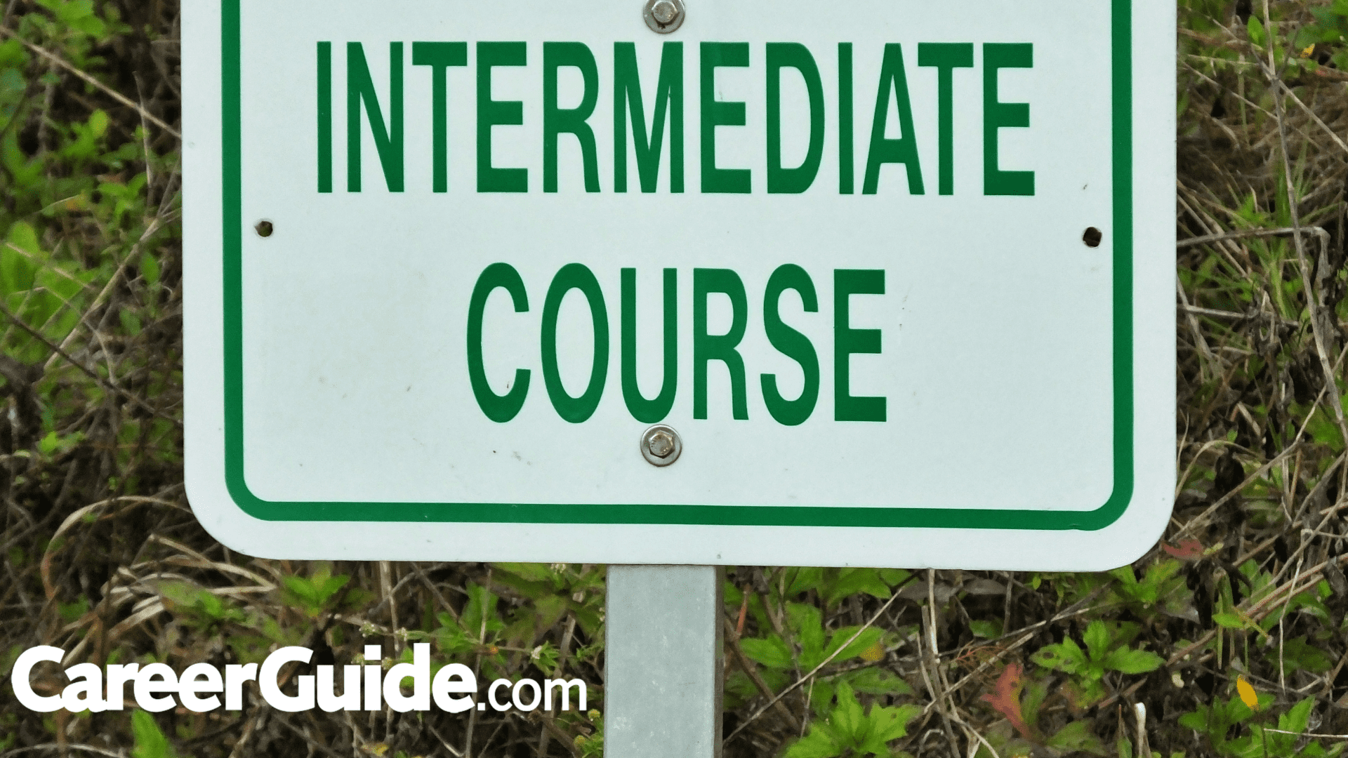 Intermediate Course Details (2)