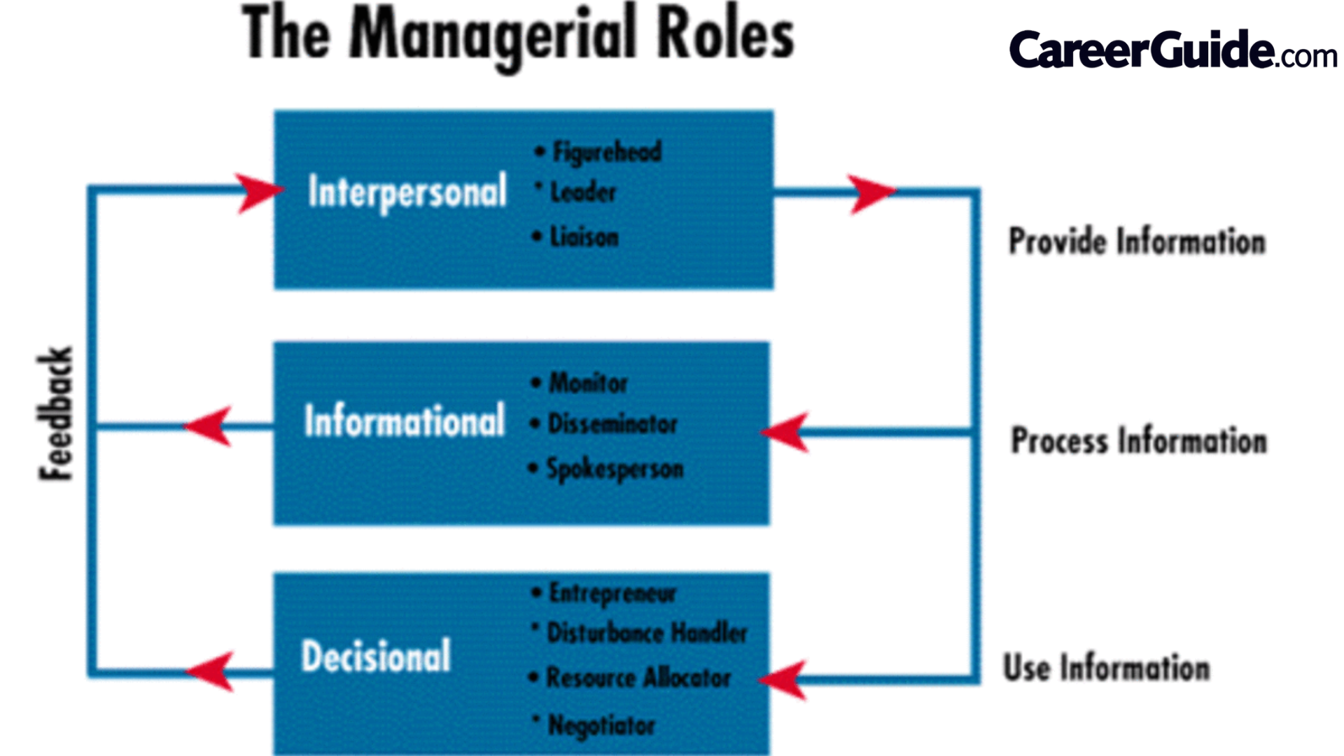 Management Role