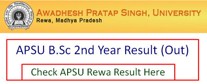 Apsu Result