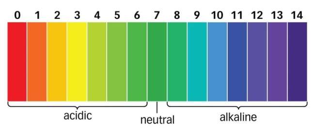 PH Full Form : Ph scale, Ph value, Examples of the pH - CareerGuide