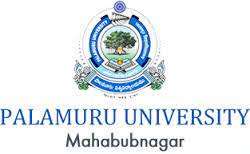 Palamuru University