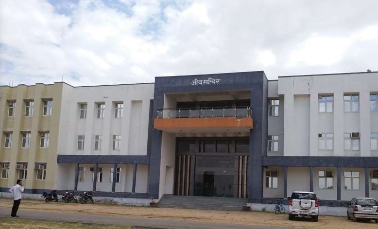 Banasthali Vidyapith Placement