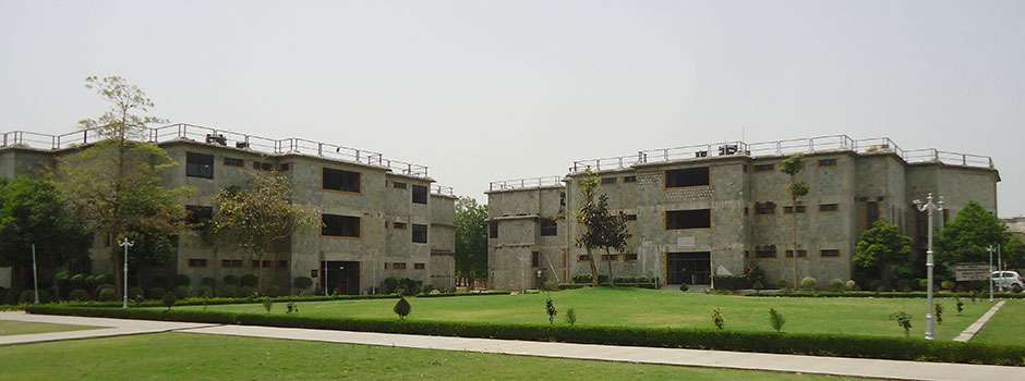 Ganpat University Placement