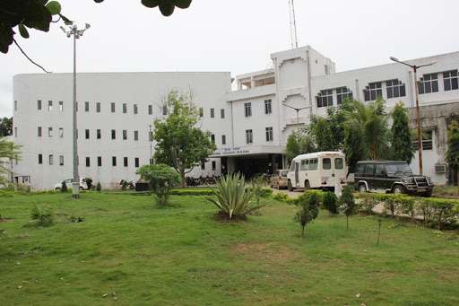 Svnirta Placements