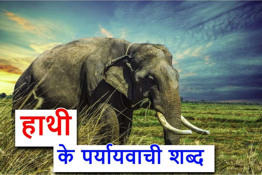 प्रयोग