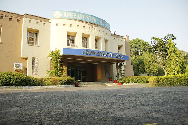 Apeejay Placements