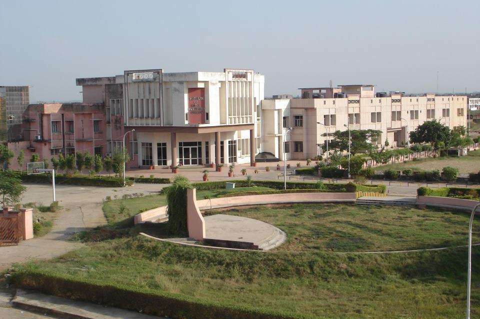 Ihm Gwalior Placements
