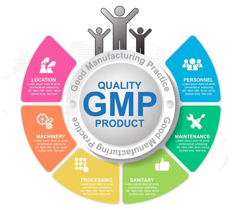 Gmp Good Manufacturing Practice 6 Heading Vector 20618194