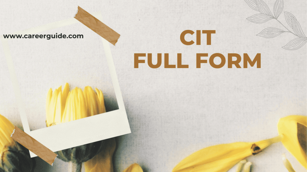 Cit Full Form