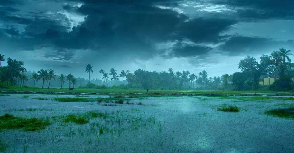 Ernakulam Weather