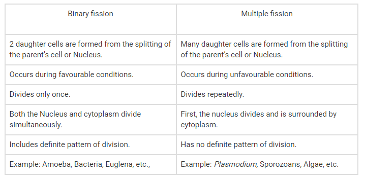 How Does Binary Fission Differ From Multiple Fission