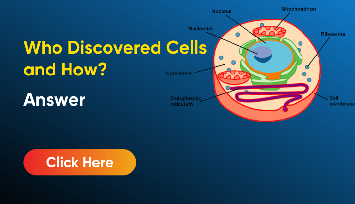 Who Discovered Cells And How