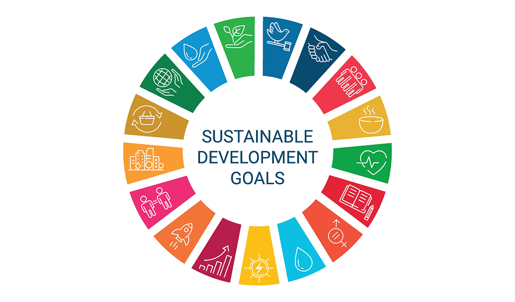 Sdg Goals In Hindi