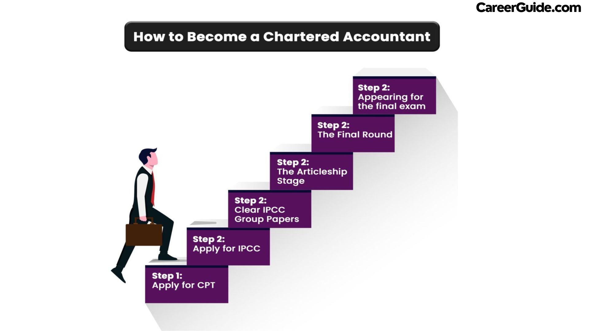  Chartered Accountant (CA)