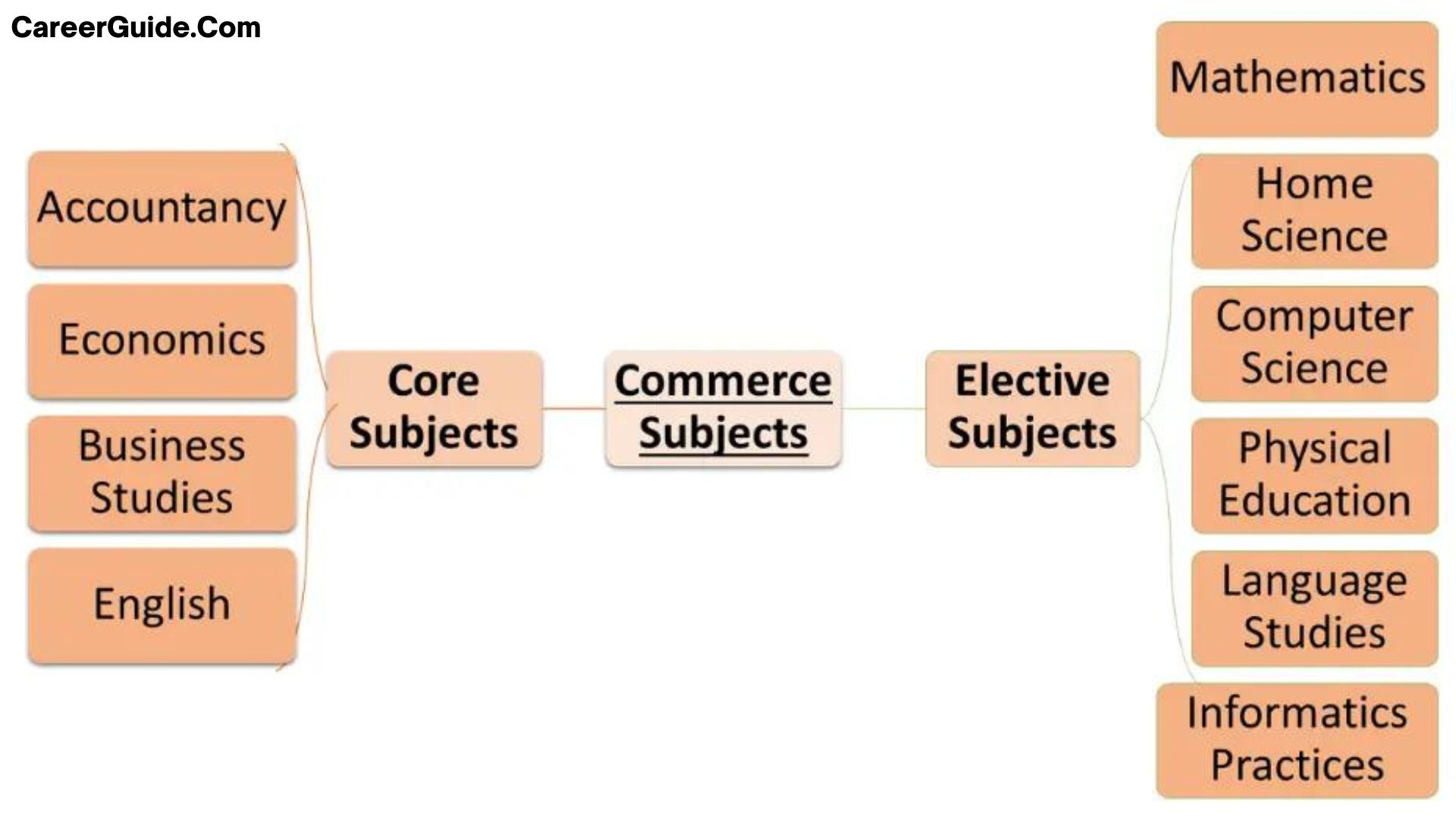 Commerce Subjects After 10th