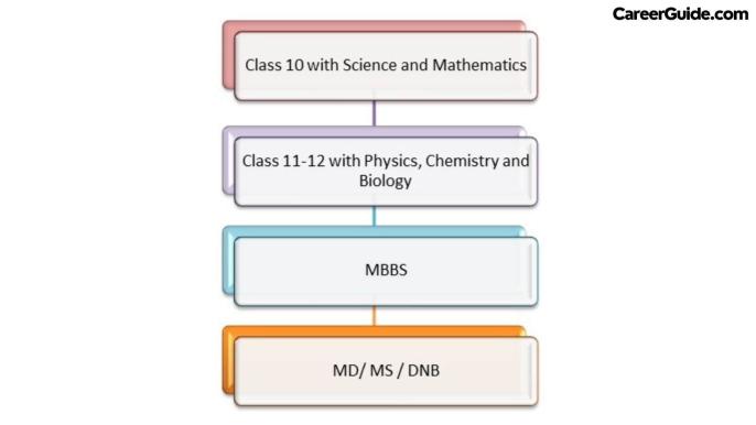 Medical Courses After 12th