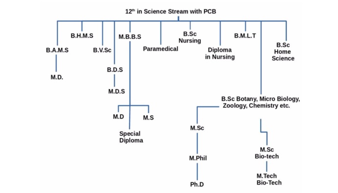 Graduation-Course-for-Science-Stream-PCB