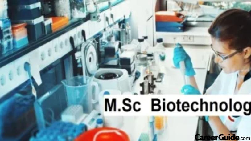 career after msc biotechnology phd