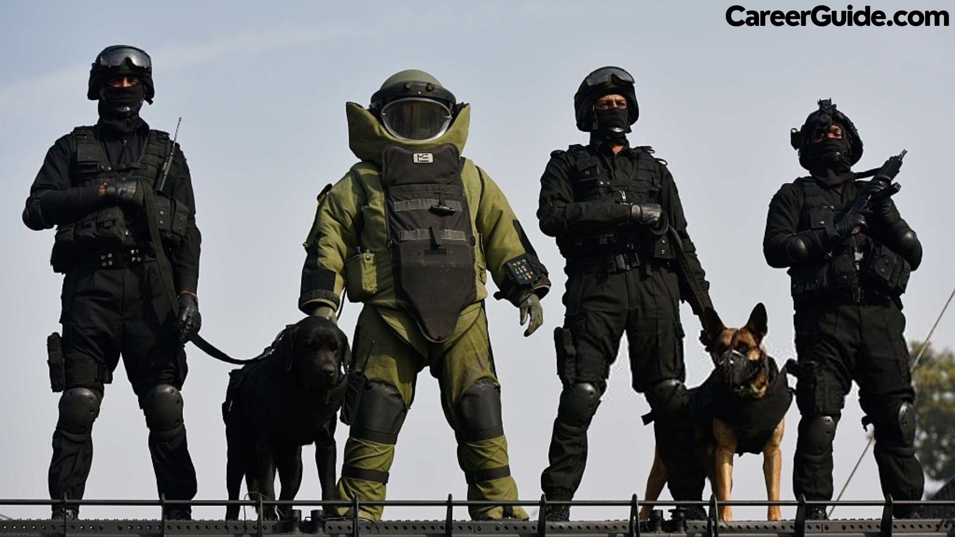 NSG Commando