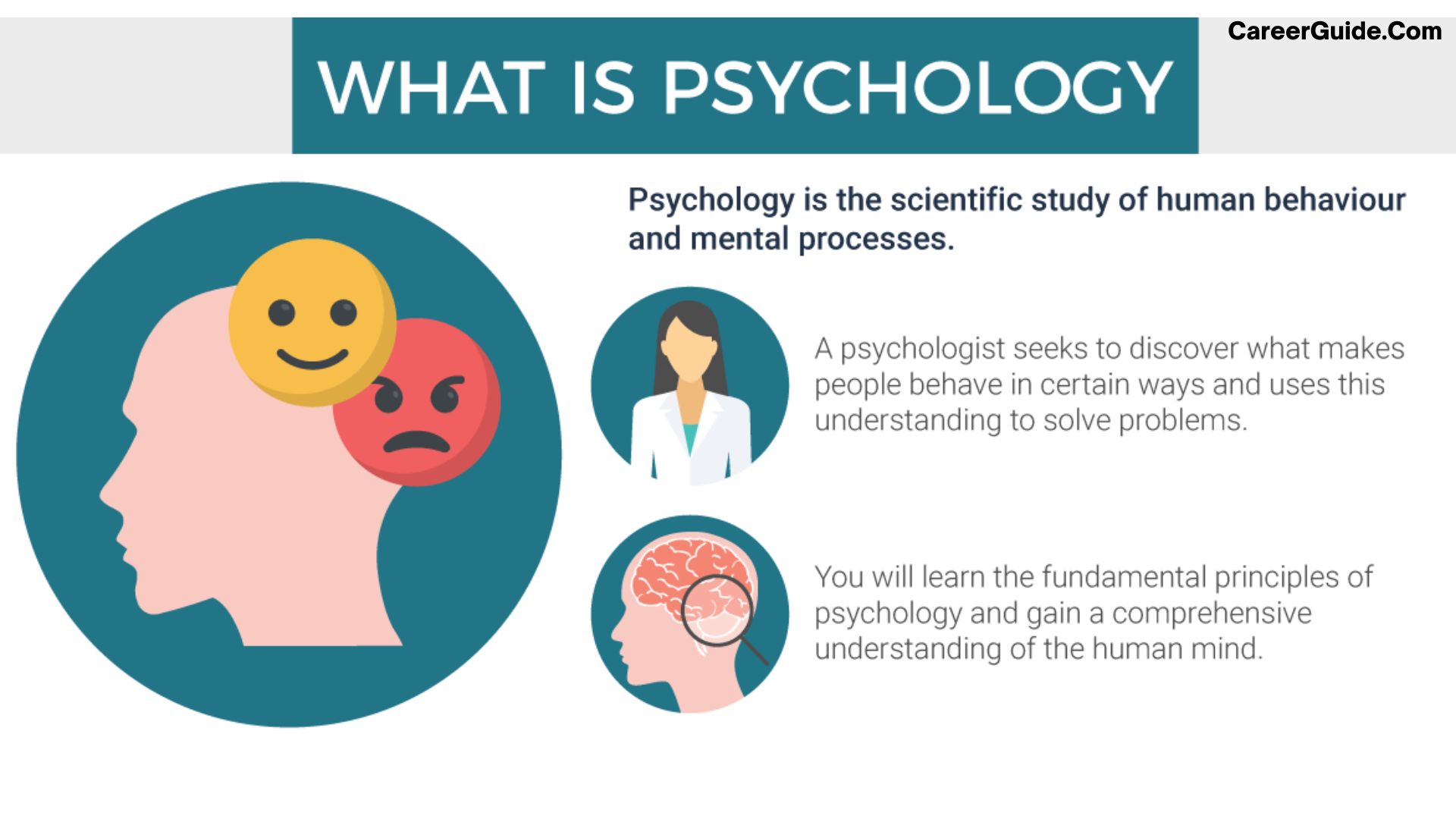 Study Phychology