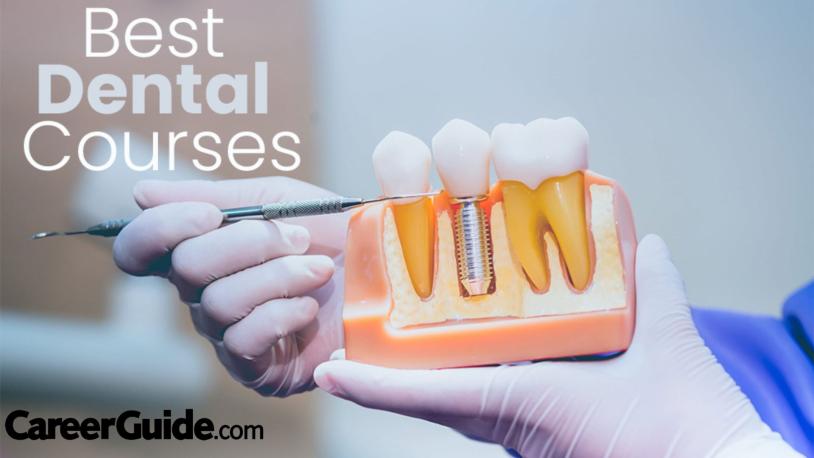 best dental courses